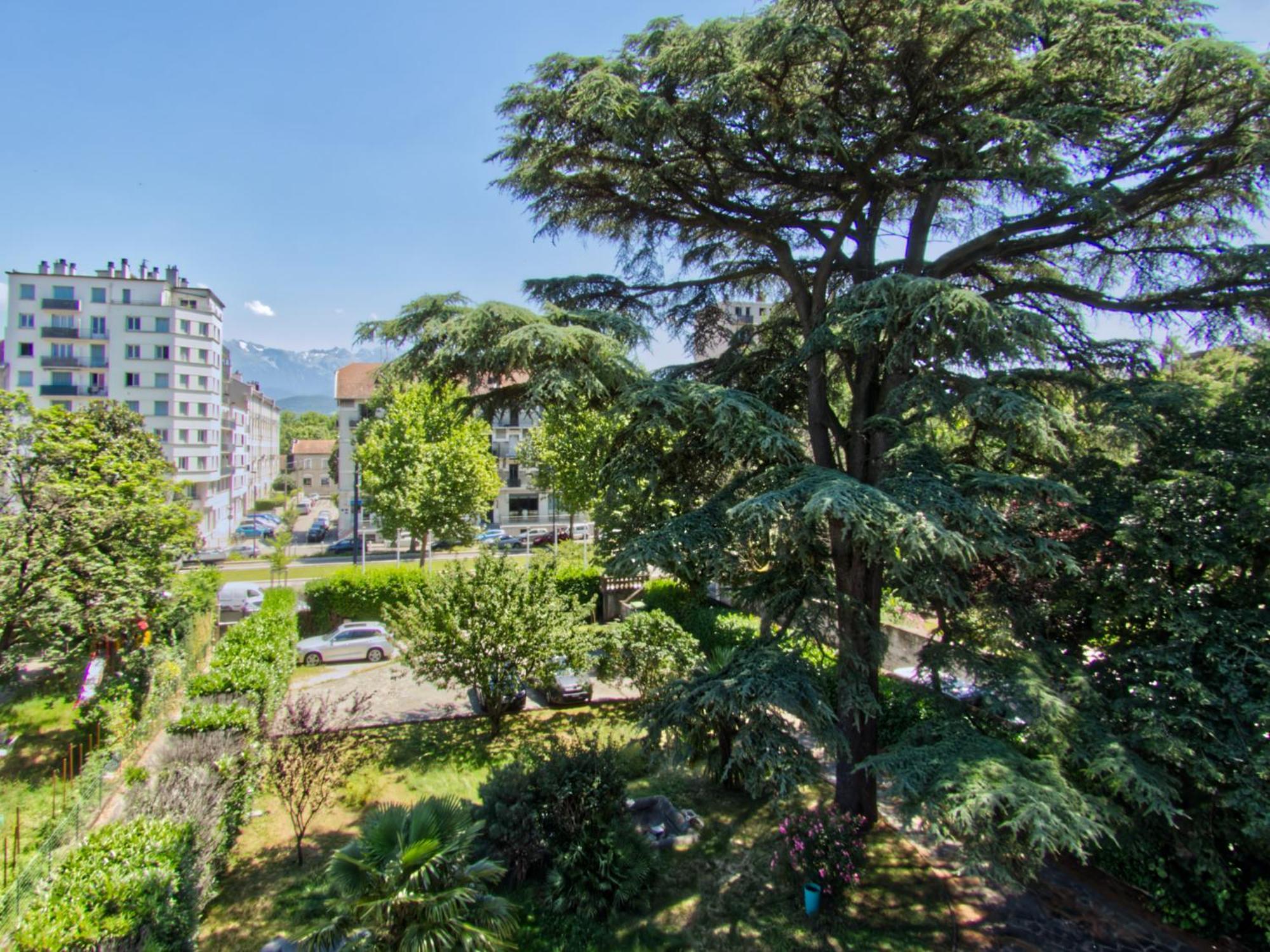 Francois 1Er Au Manoir Apartment Grenoble Ngoại thất bức ảnh
