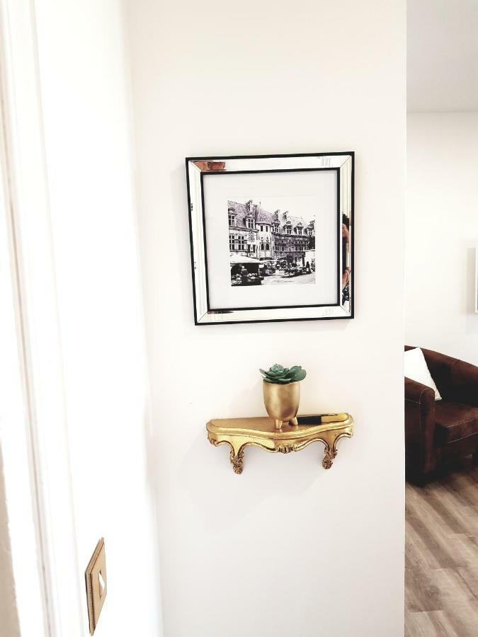 Francois 1Er Au Manoir Apartment Grenoble Ngoại thất bức ảnh